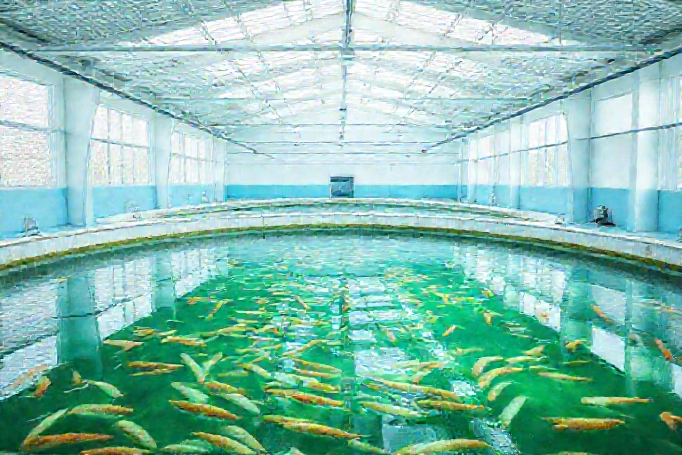 清潔で明るい屋内の陸上養殖の水槽
